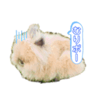 まさむね＆こじゅうろう（個別スタンプ：8）
