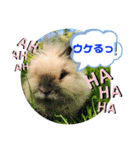 まさむね＆こじゅうろう（個別スタンプ：10）