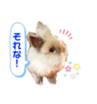 まさむね＆こじゅうろう（個別スタンプ：12）