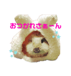 まさむね＆こじゅうろう（個別スタンプ：13）