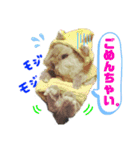 まさむね＆こじゅうろう（個別スタンプ：15）