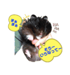 まさむね＆こじゅうろう（個別スタンプ：16）