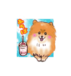 明日香ちゃん(Pomeranian)（個別スタンプ：3）