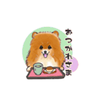 明日香ちゃん(Pomeranian)（個別スタンプ：4）