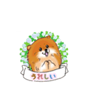 明日香ちゃん(Pomeranian)（個別スタンプ：8）