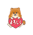 明日香ちゃん(Pomeranian)（個別スタンプ：14）