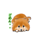 明日香ちゃん(Pomeranian)（個別スタンプ：17）