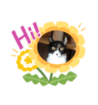 おうちニャンズ（個別スタンプ：8）