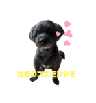 ゴエモンの日常2（個別スタンプ：1）