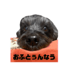 ゴエモンの日常2（個別スタンプ：3）