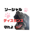 ゴエモンの日常2（個別スタンプ：19）