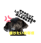 ゴエモンの日常2（個別スタンプ：24）