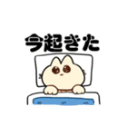 無能ねこ（個別スタンプ：28）