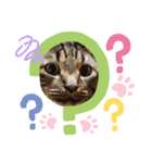 withねこ＆いぬ（個別スタンプ：8）