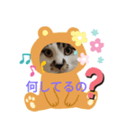 withねこ＆いぬ（個別スタンプ：15）