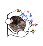 withねこ＆いぬ（個別スタンプ：16）