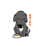 Marimoちゃん（個別スタンプ：1）