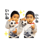 真司郎くんスタンプ 3（個別スタンプ：24）