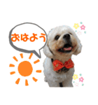 やんちゃろくたのスタンプU・x・U（個別スタンプ：1）
