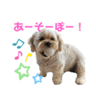 やんちゃろくたのスタンプU・x・U（個別スタンプ：4）