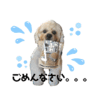 やんちゃろくたのスタンプU・x・U（個別スタンプ：6）