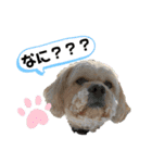 やんちゃろくたのスタンプU・x・U（個別スタンプ：10）