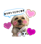 やんちゃろくたのスタンプU・x・U（個別スタンプ：11）