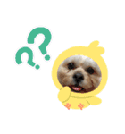 やんちゃろくたのスタンプU・x・U（個別スタンプ：12）