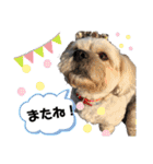 やんちゃろくたのスタンプU・x・U（個別スタンプ：16）