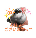 日常会話文鳥（個別スタンプ：1）
