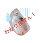 日常会話文鳥（個別スタンプ：9）