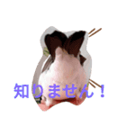 日常会話文鳥（個別スタンプ：18）