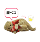 kohaku_1028（個別スタンプ：5）
