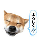 MUGIⓂ︎（個別スタンプ：8）