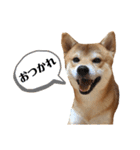 MUGIⓂ︎（個別スタンプ：11）