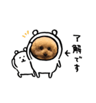 ここみ セカンド（個別スタンプ：1）