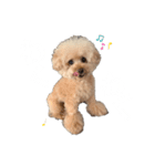 ここみ セカンド（個別スタンプ：5）