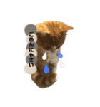 まーにゃんの生活（個別スタンプ：6）