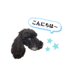 エマネル美容室✂️（個別スタンプ：2）