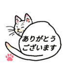 年中行事を猫さんと一緒に♡（個別スタンプ：1）