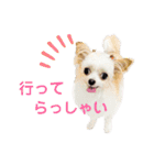なっつ♡ぴのんコラボスタンプ②（個別スタンプ：1）