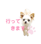 なっつ♡ぴのんコラボスタンプ②（個別スタンプ：2）