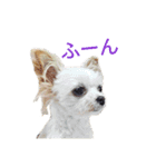 なっつ♡ぴのんコラボスタンプ②（個別スタンプ：11）