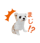 なっつ♡ぴのんコラボスタンプ②（個別スタンプ：14）