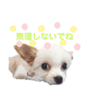 なっつ♡ぴのんコラボスタンプ②（個別スタンプ：26）