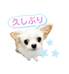 なっつ♡ぴのんコラボスタンプ②（個別スタンプ：32）