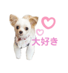 なっつ♡ぴのんコラボスタンプ②（個別スタンプ：39）