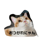 ふて猫ちくわ③（個別スタンプ：1）
