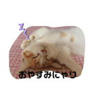 ふて猫ちくわ③（個別スタンプ：6）