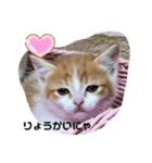 ふて猫ちくわ③（個別スタンプ：8）